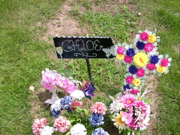 Chloe's grave on memorial day 2007